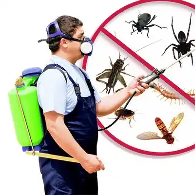 pest control Fort Wright